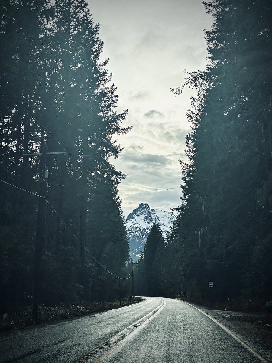 Michael Ferragamo tweet media