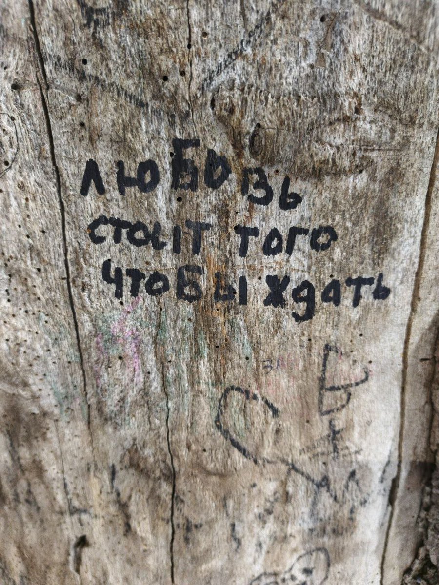 gingerjacuzzi's tweet image. Вышла прогуляться и на дереве увидела знак для Эмиля @ipoxyi