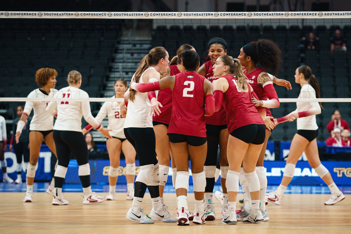 Razorback Volleyball tweet media