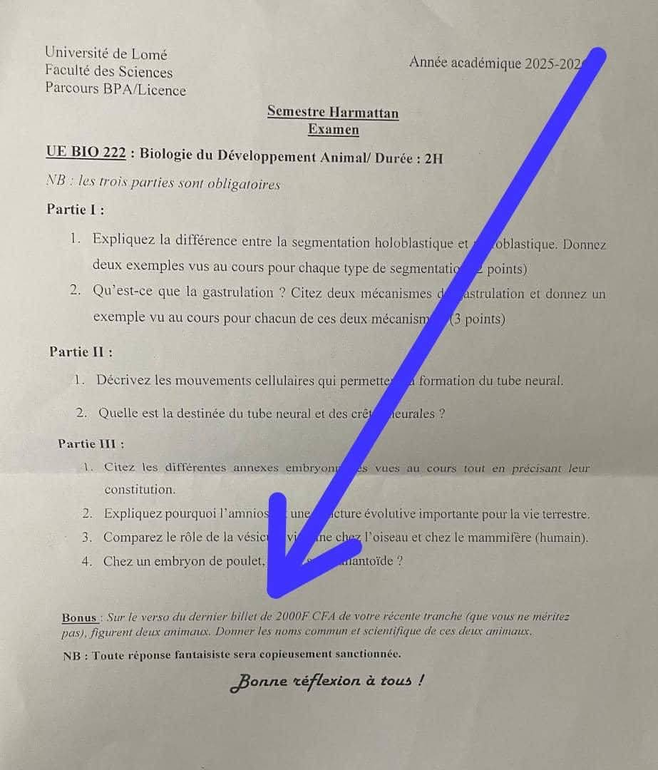 Lis la dernière question
Dois-je encore t'expliquer qu'ils prennent les jeunes pour ennemis ?

Un ministre a dit, je cite : "Ici on ne forme pas les jeunes, on ne les ressemble pas, on ne les finance pas. Sinon ils vont se retourner contre nous"
#FaisTaPart
#FreeTogo #faureMustGo