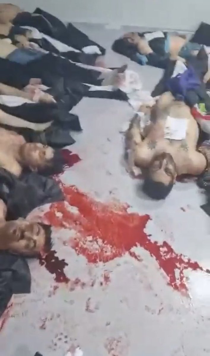 سَروهای در خون غلطیده…