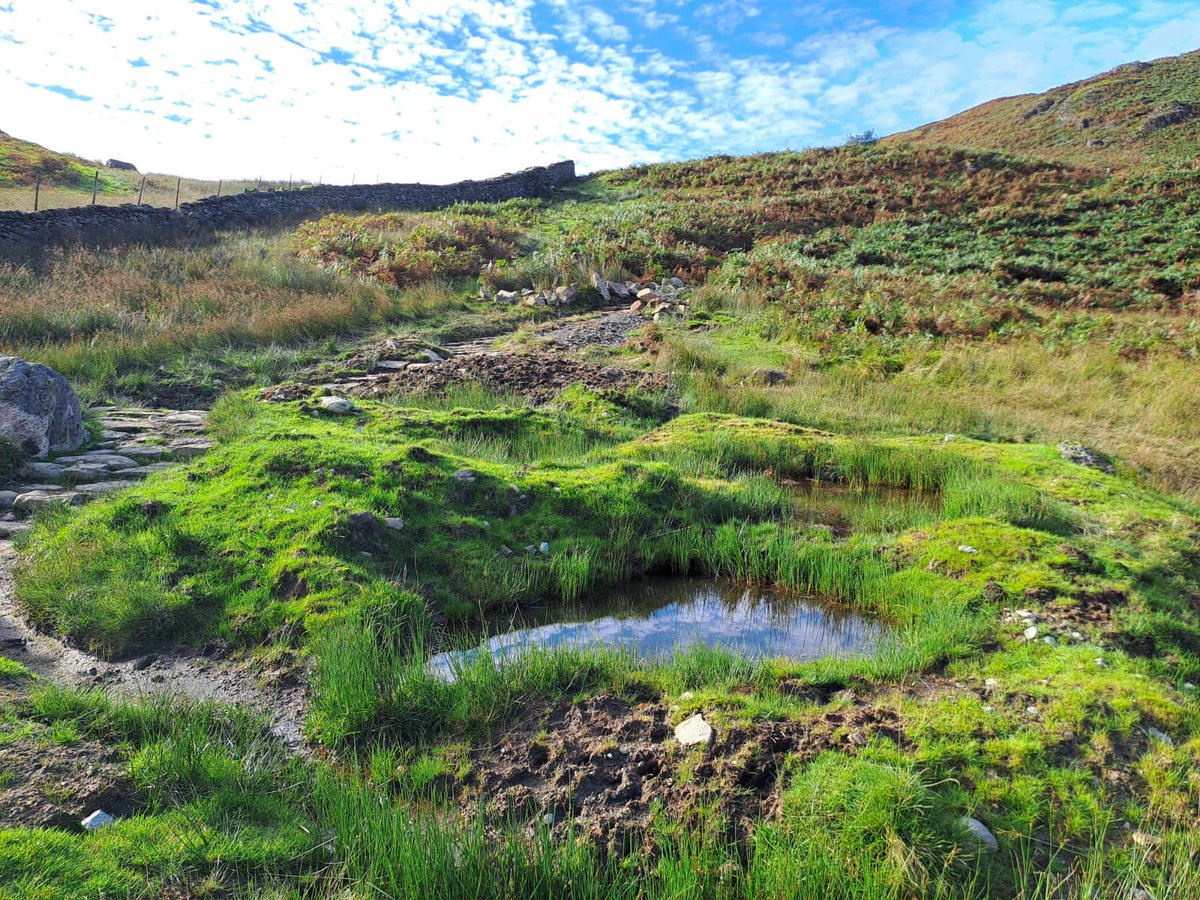 NT Fell Rangers tweet media