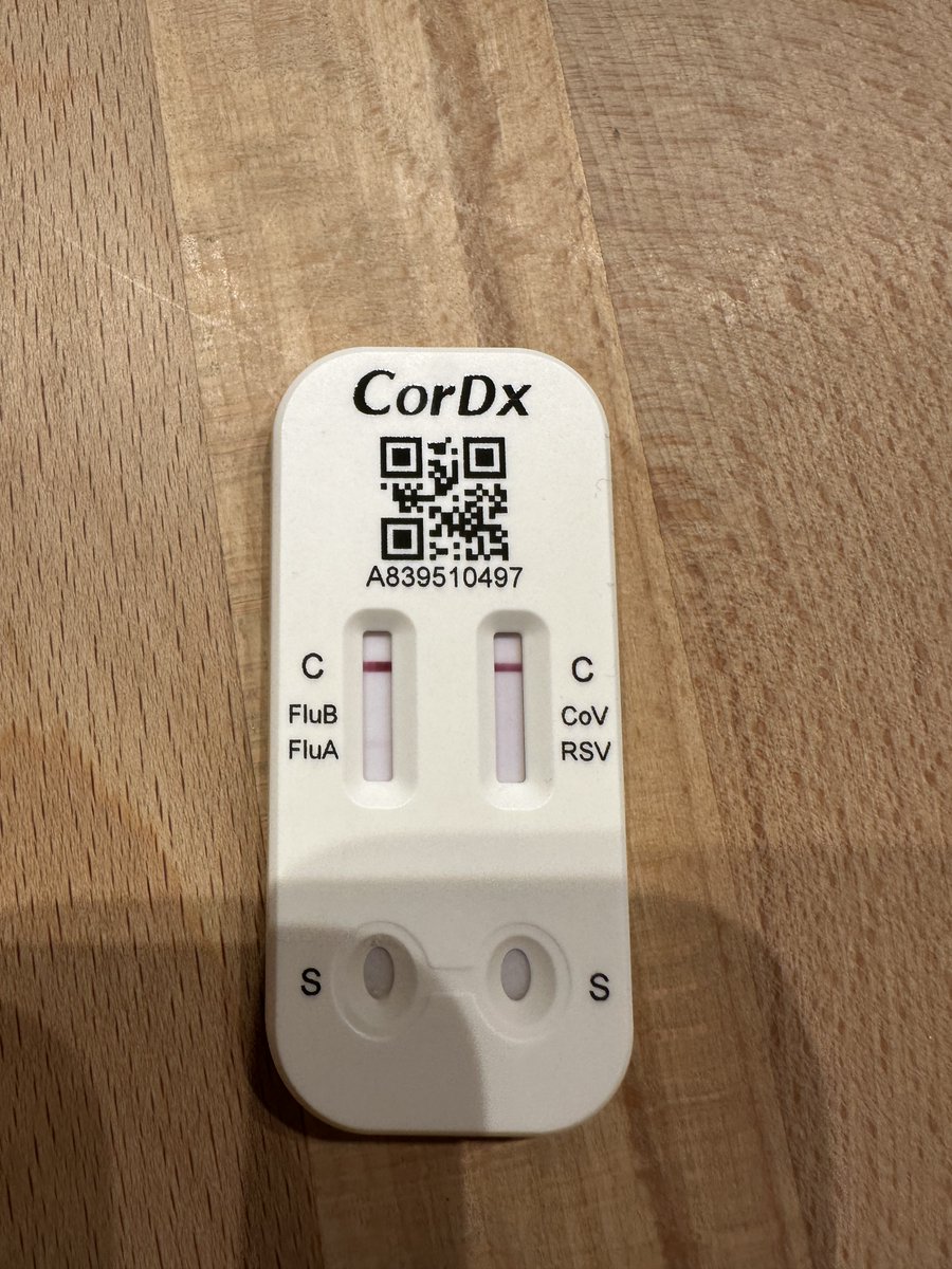 Frau Anna tweet media