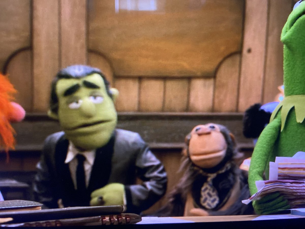 Stefan Bonomo tweet media