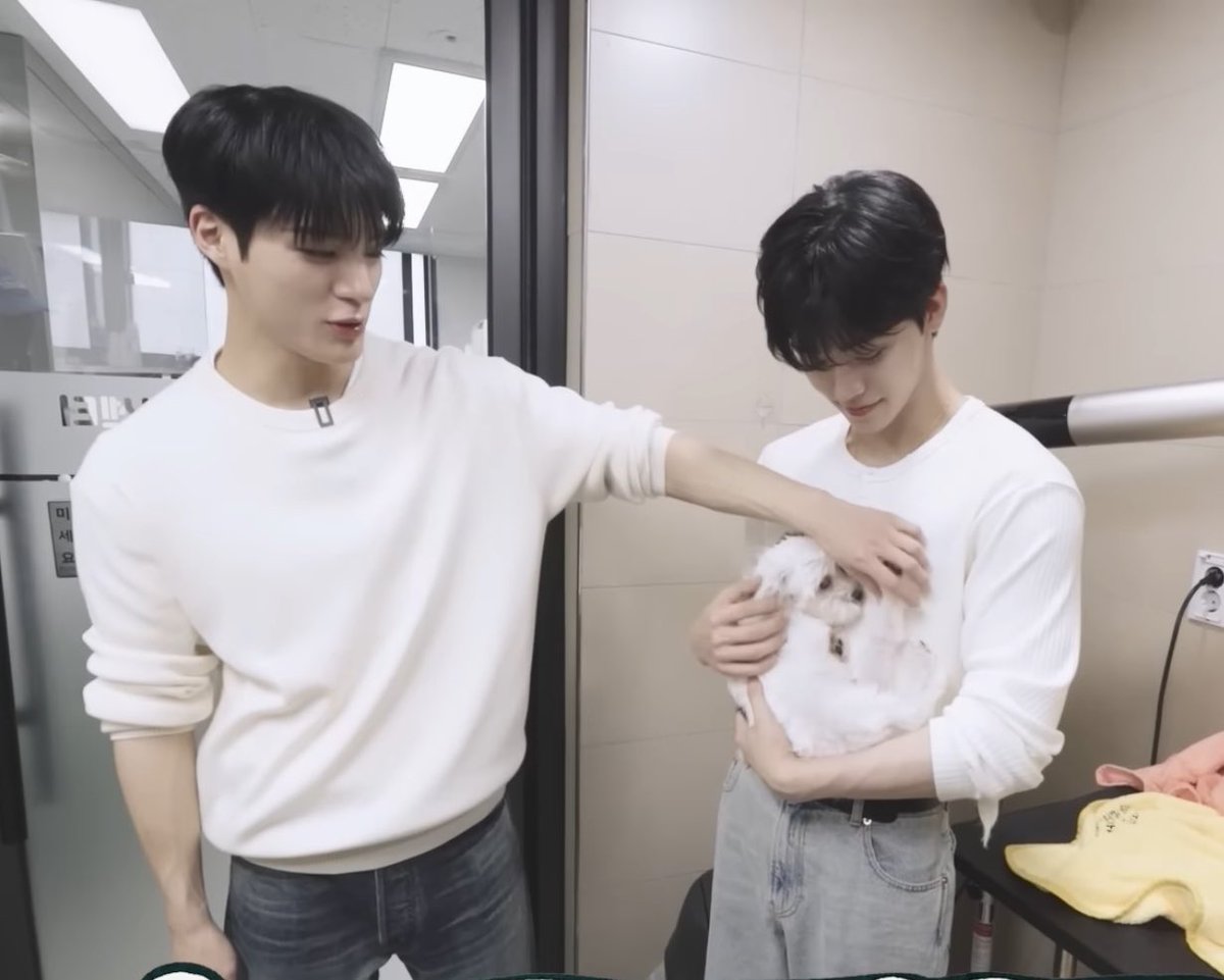 ley aksen tweet media