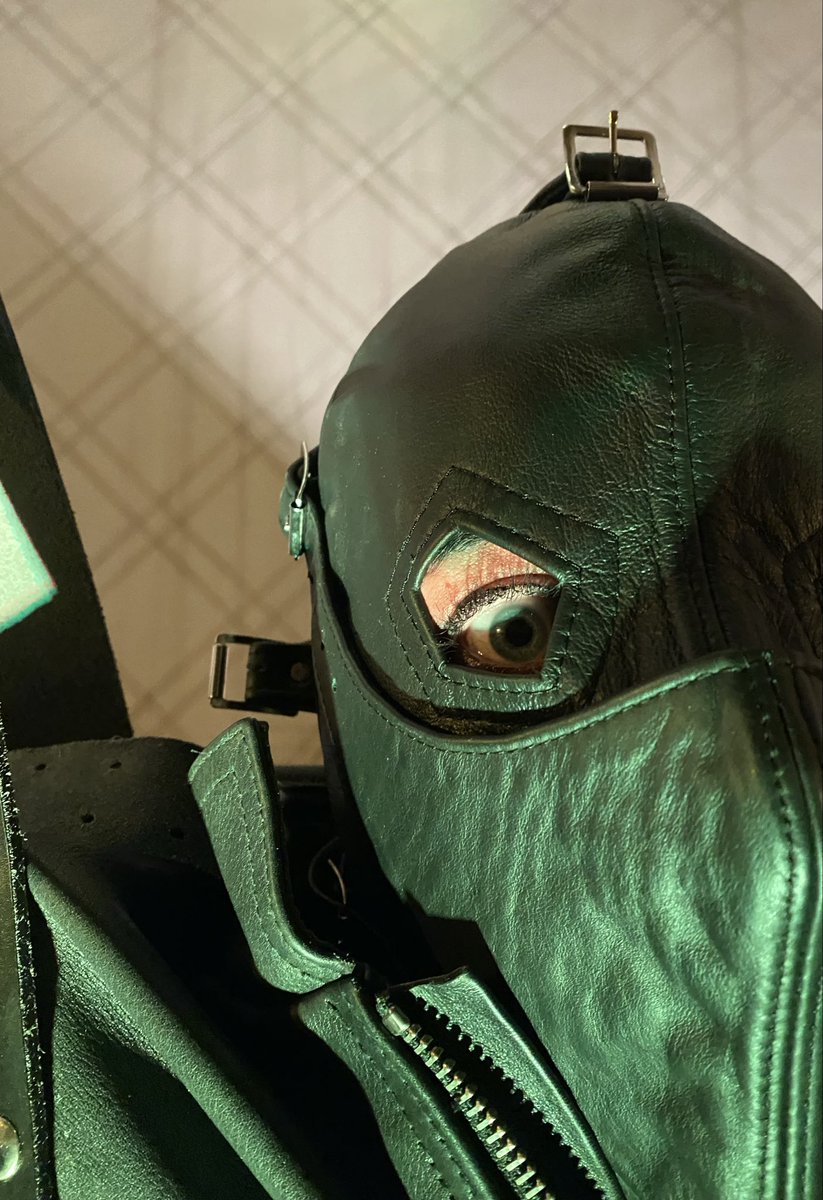 SeriouslyBound tweet media