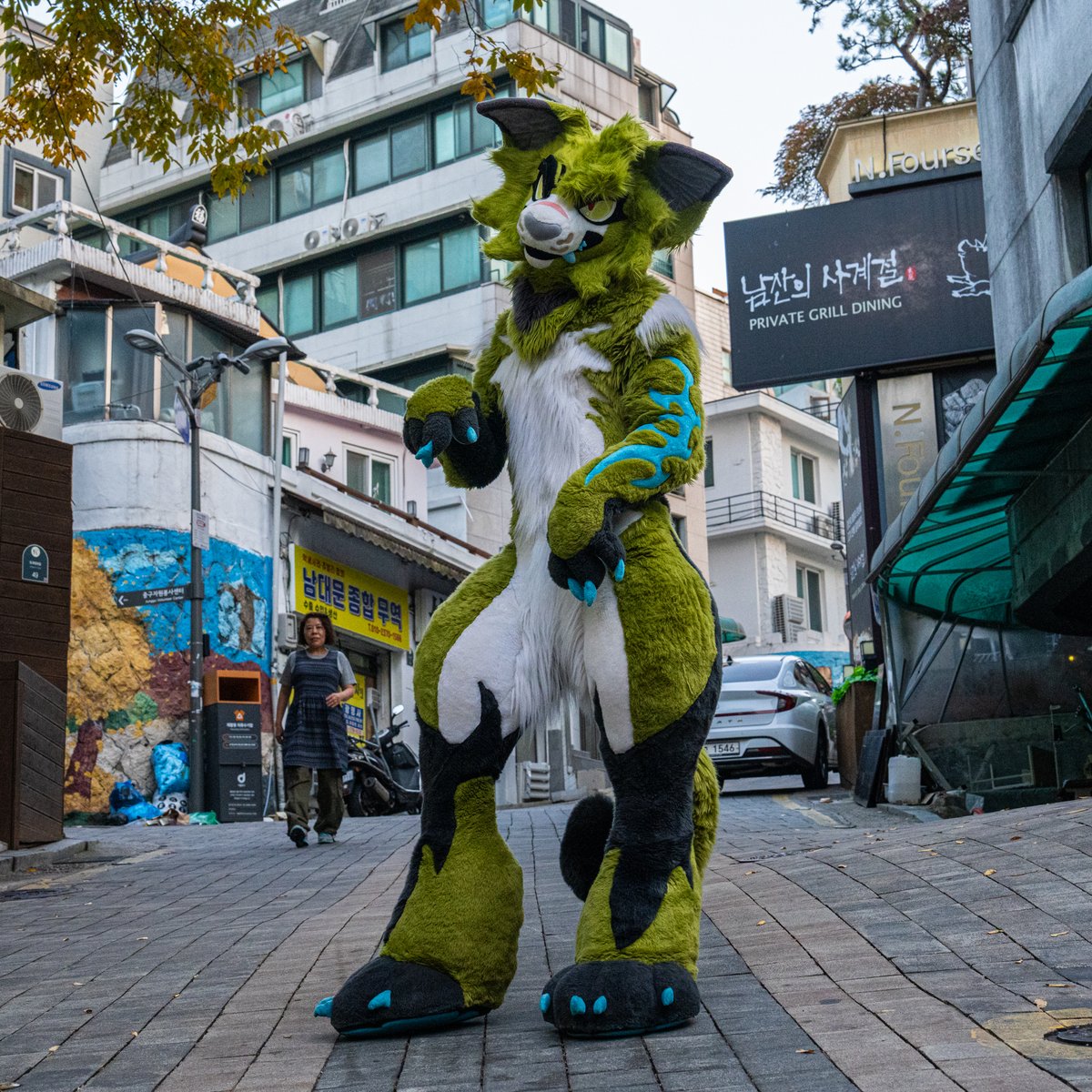 Kael 🔜 NFC tweet media