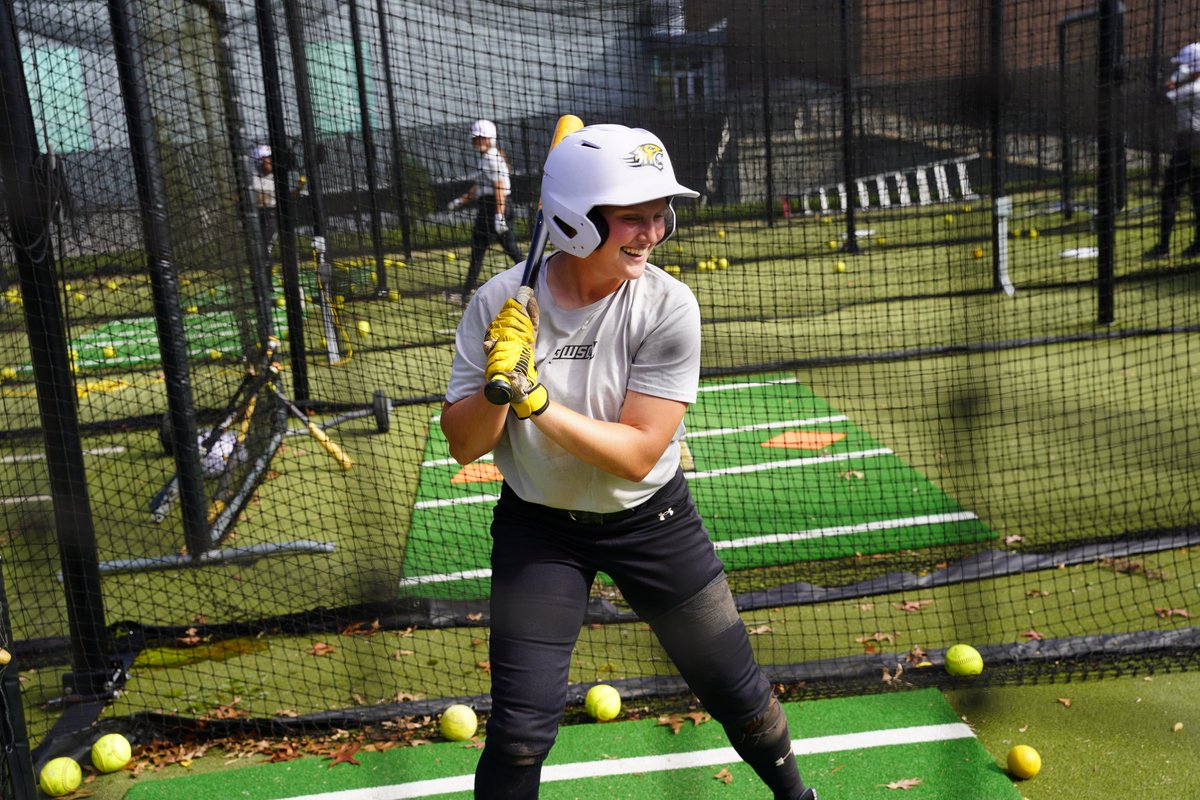Towson Softball tweet media