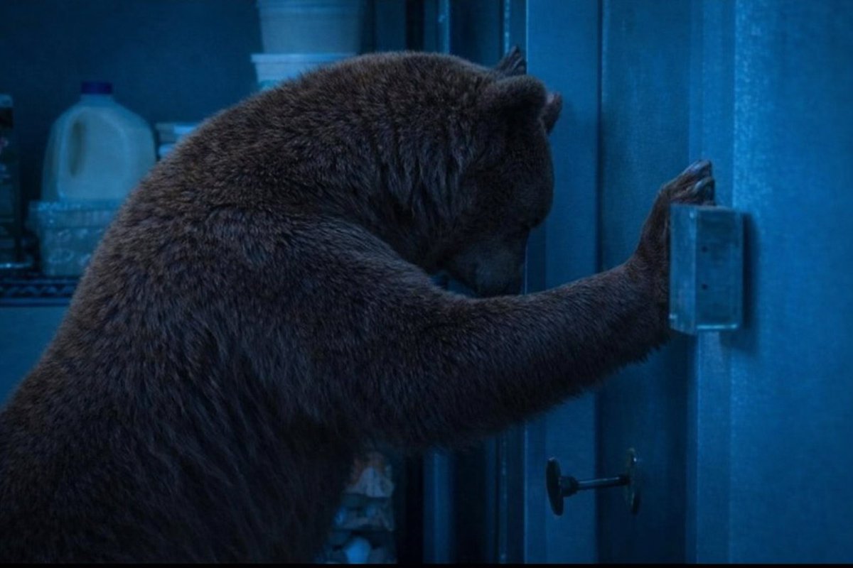 Tristan Trenches tweet media