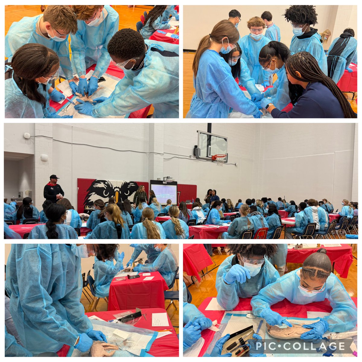 Rebecca Williams tweet media