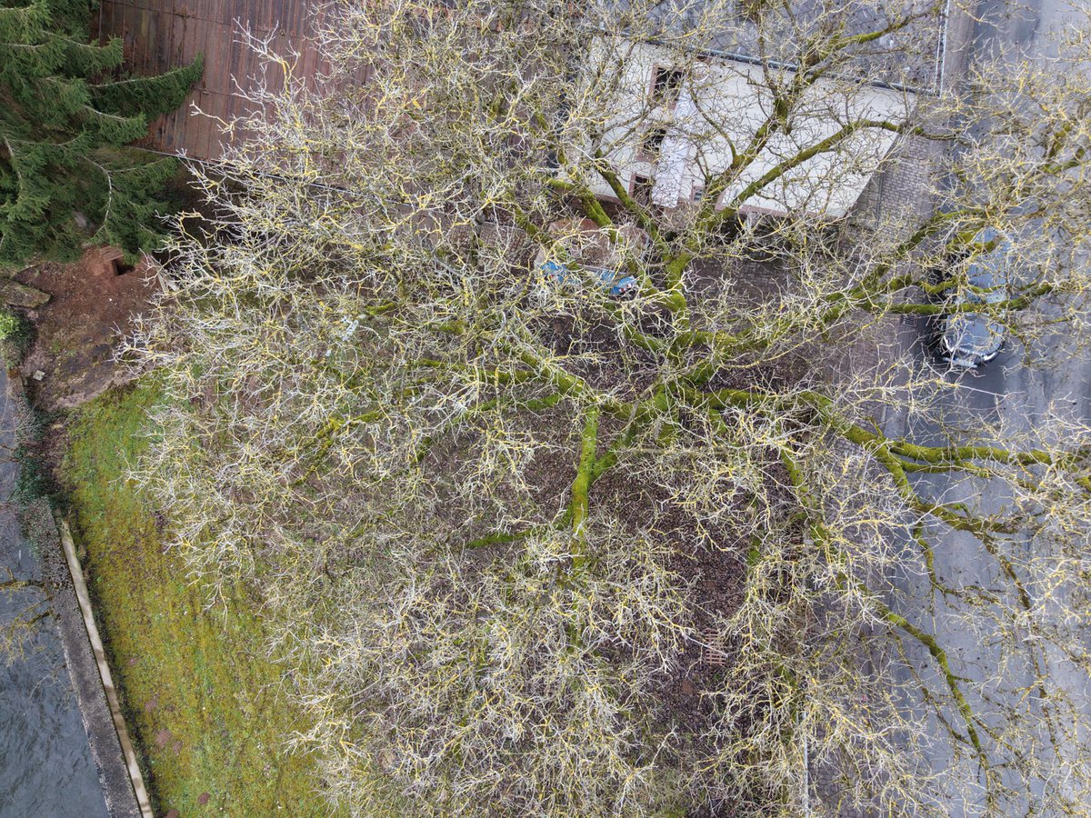 Jens Edringer tweet media