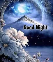 You didn’t quit today.
That’s already a win.
Good night 💫