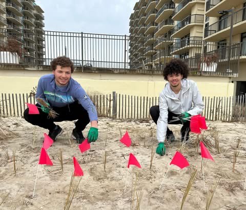 Free beachgrass plugs will be available for Ocean City property owners on February 7 for secondary dune planting. Healthy dunes help reduce erosion and limit storm impacts along the coast.
👉 bit.ly/4jRqsJC
