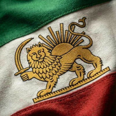 «دوست دارم کفنم پرچم ایران باشد.»