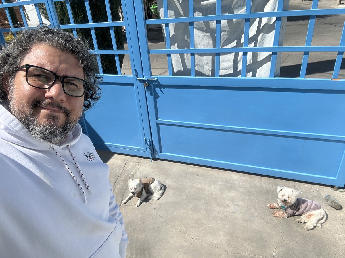 MemoPalomas tweet media