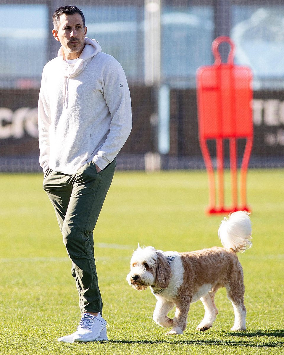 CD Castellón tweet media