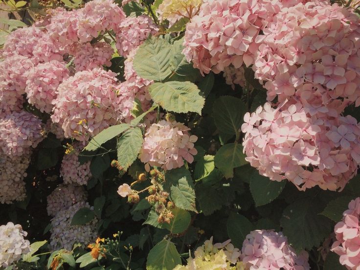 IsartMysoul's tweet image. 