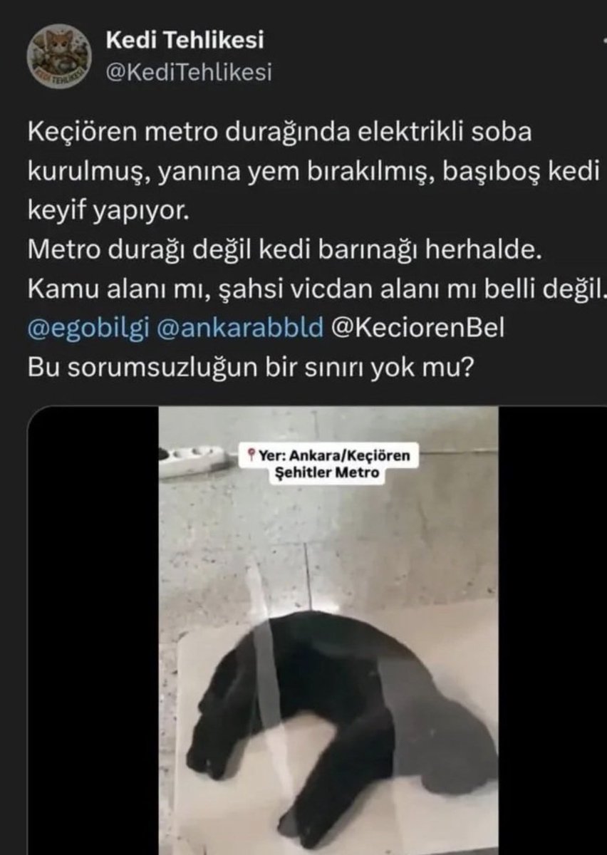 Madem devlet bulmuyor, gerekeni yapmıyor ya da erişim engeli getirmiyor;

Bu provokatör sayfanın arkasındakini kanıtıyla deşifre edene 20.000₺ ödül vereceğim.

İsteyenler ödüle katkı ekleyebilir…

#SokakHayvanlarıSahipsizDeğil 
#MerhametKazanacak