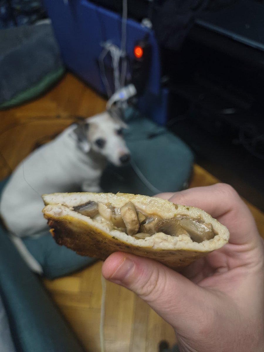 Даника тупая подружка Волчары tweet media