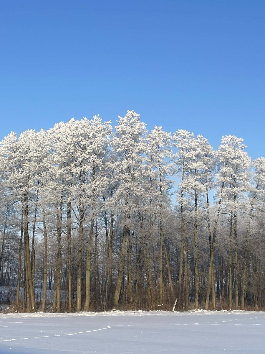 Kamil (๑ت๑)ﾉ🛩 tweet media