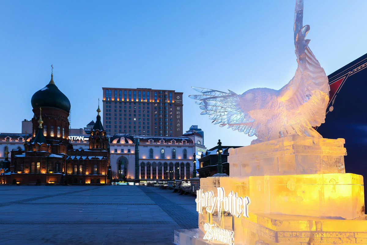 WizardWho's tweet photo. An ice snowy owl lands in ‘the snow capital’ Harbin, China last month! #HarryPotter #Hedwig https://t.co/1v7zxHq4Lr
