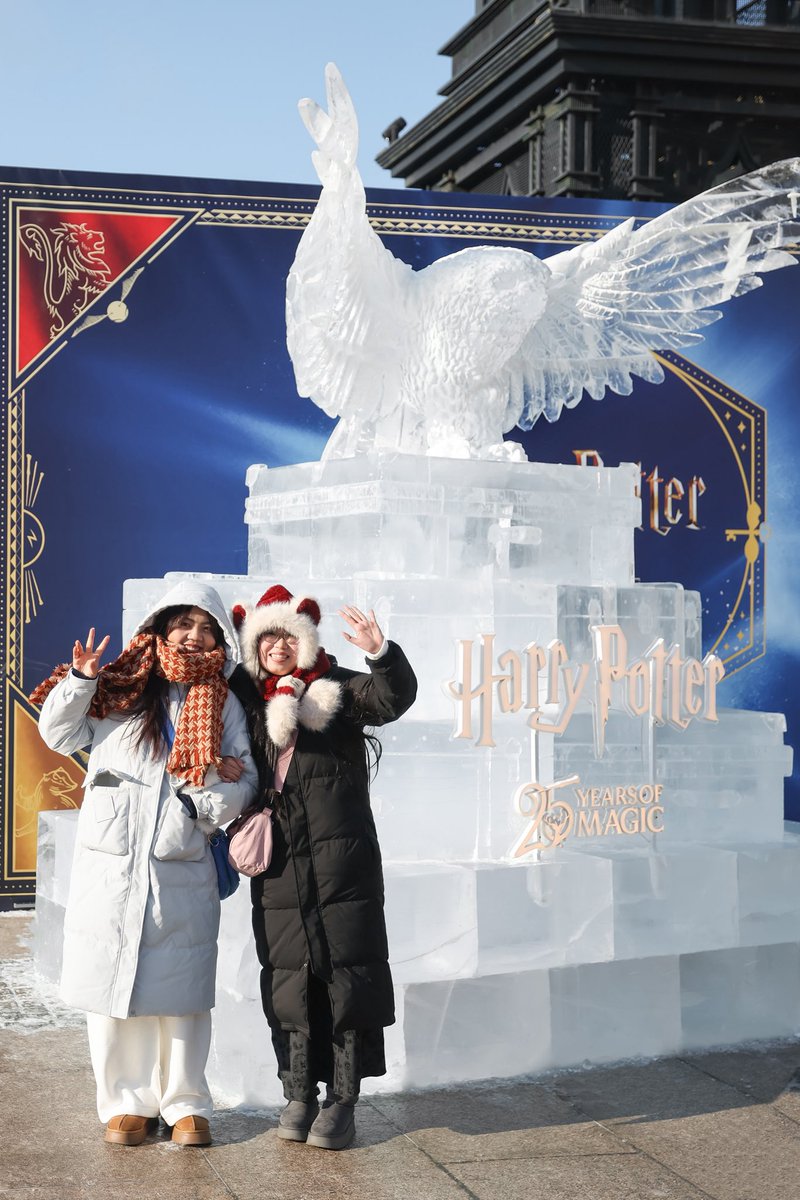 WizardWho's tweet photo. An ice snowy owl lands in ‘the snow capital’ Harbin, China last month! #HarryPotter #Hedwig https://t.co/1v7zxHq4Lr