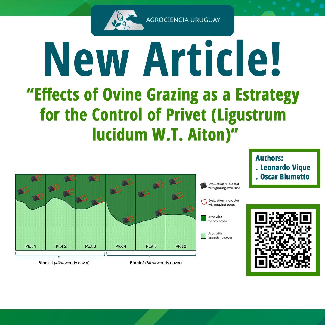 AgrocienciaUy's tweet image. ✅NUEVO ARTÍCULO EN AGROCIENCIA URUGUAY!

📚“Effects of Ovine Grazing as a Estrategy for the Control of Privet (Ligustrum lucidum W.T. Aiton)” Sección: Natural and environmental resources.
👉 agrocienciauruguay.uy/index.php/agro…
#NuevoArticulo #articulocientifico #nativeforest #bosquesnativos