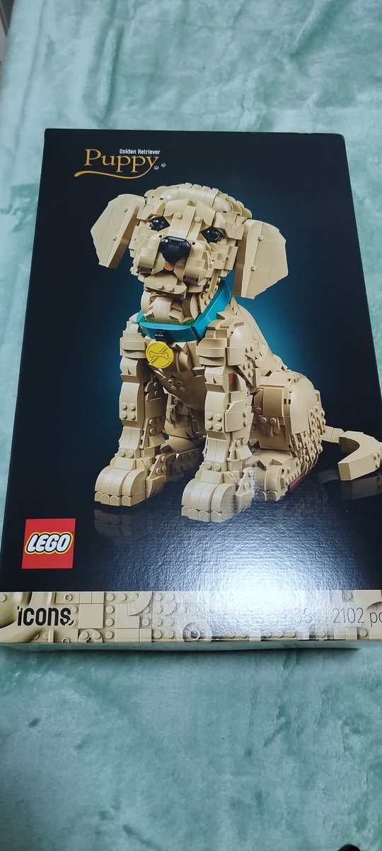 Markéta Temkovičová tweet media