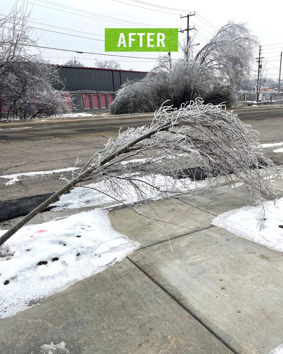 FiftyForward tweet media