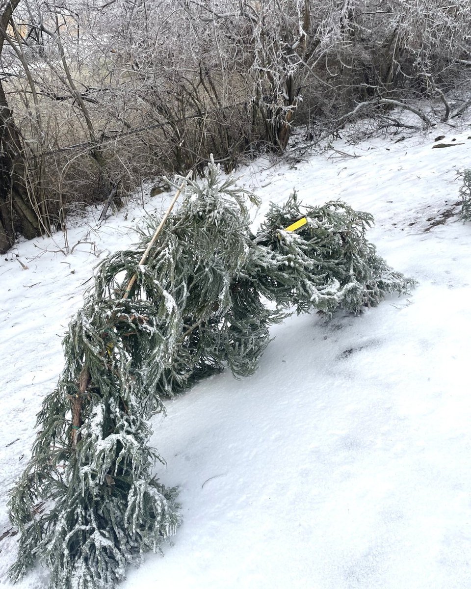 FiftyForward tweet media