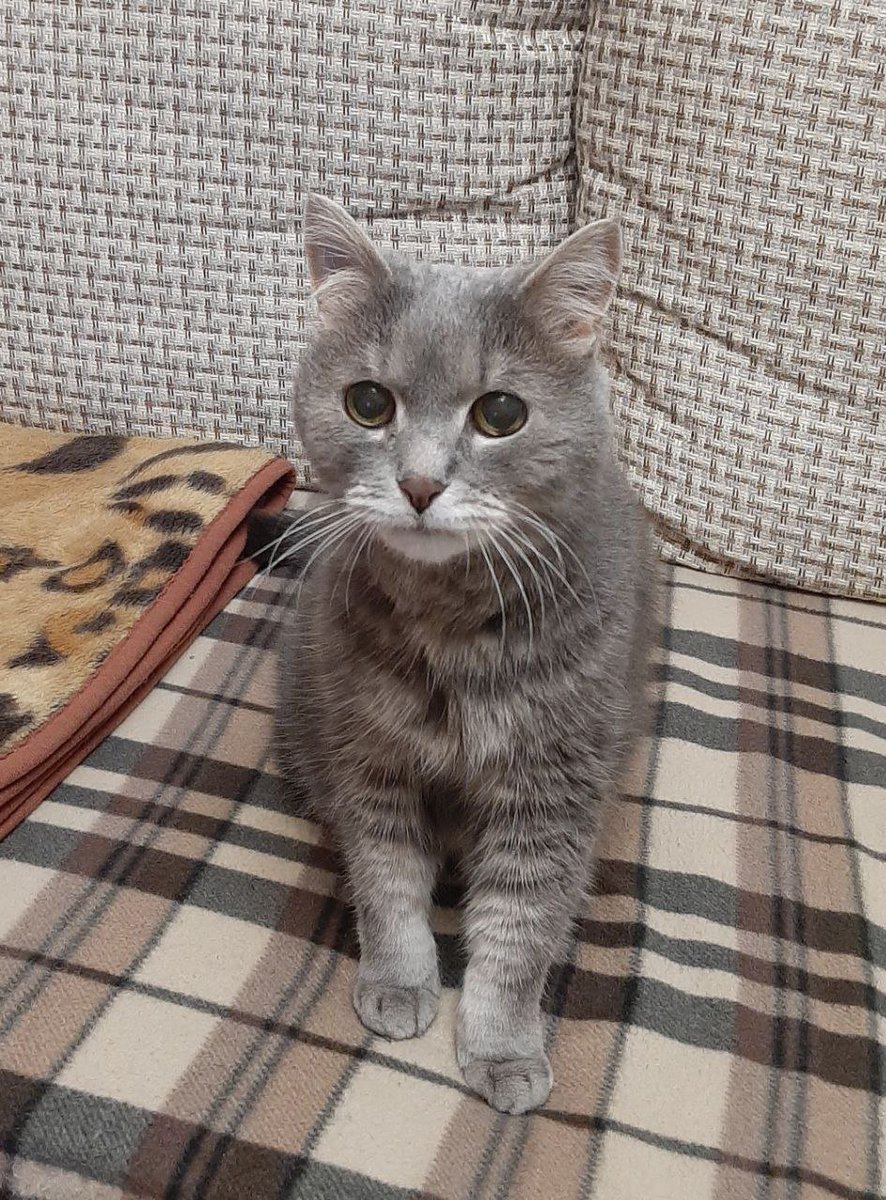 Rodler-H8🔞 tweet media