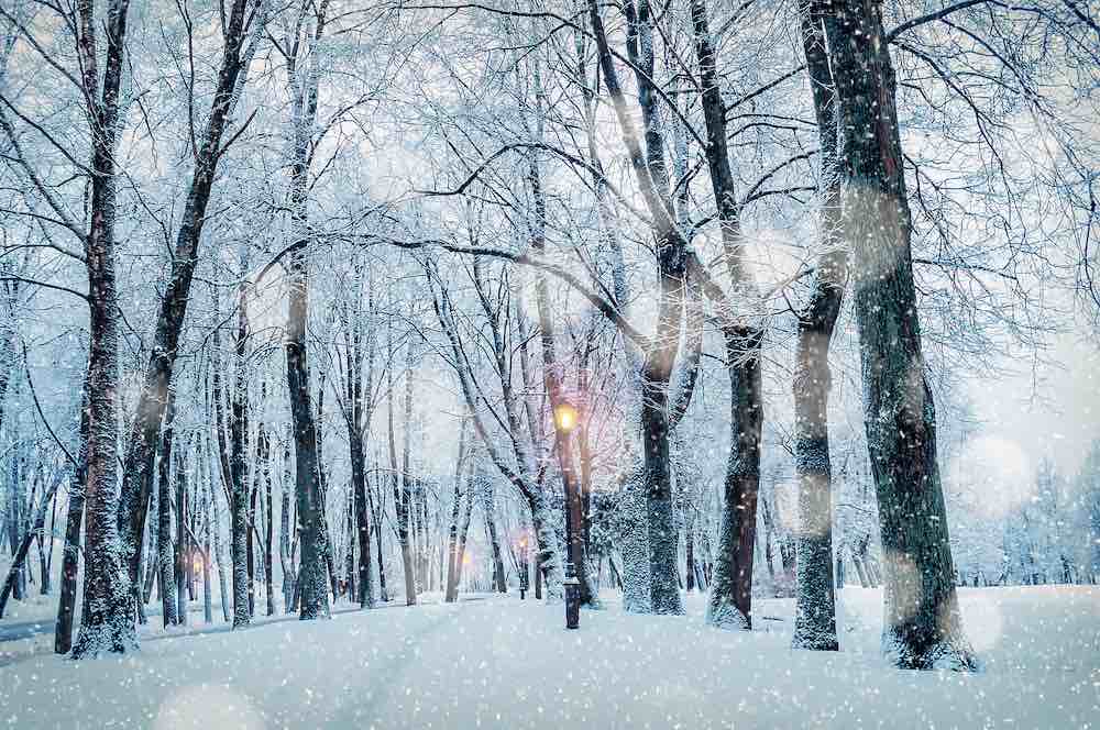 natlawreview's tweet image. natlawreview.com/article/how-bu… #insurance #claims #storm #weather @BracewellLaw