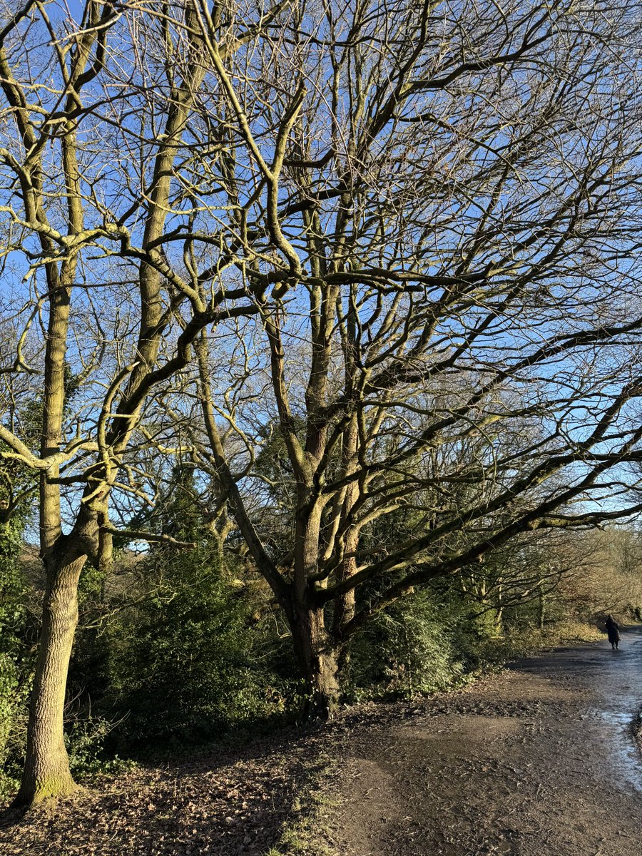 Hampstead High St tweet media