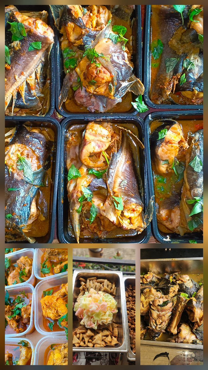 Abiola of Lagos 🐺 tweet media