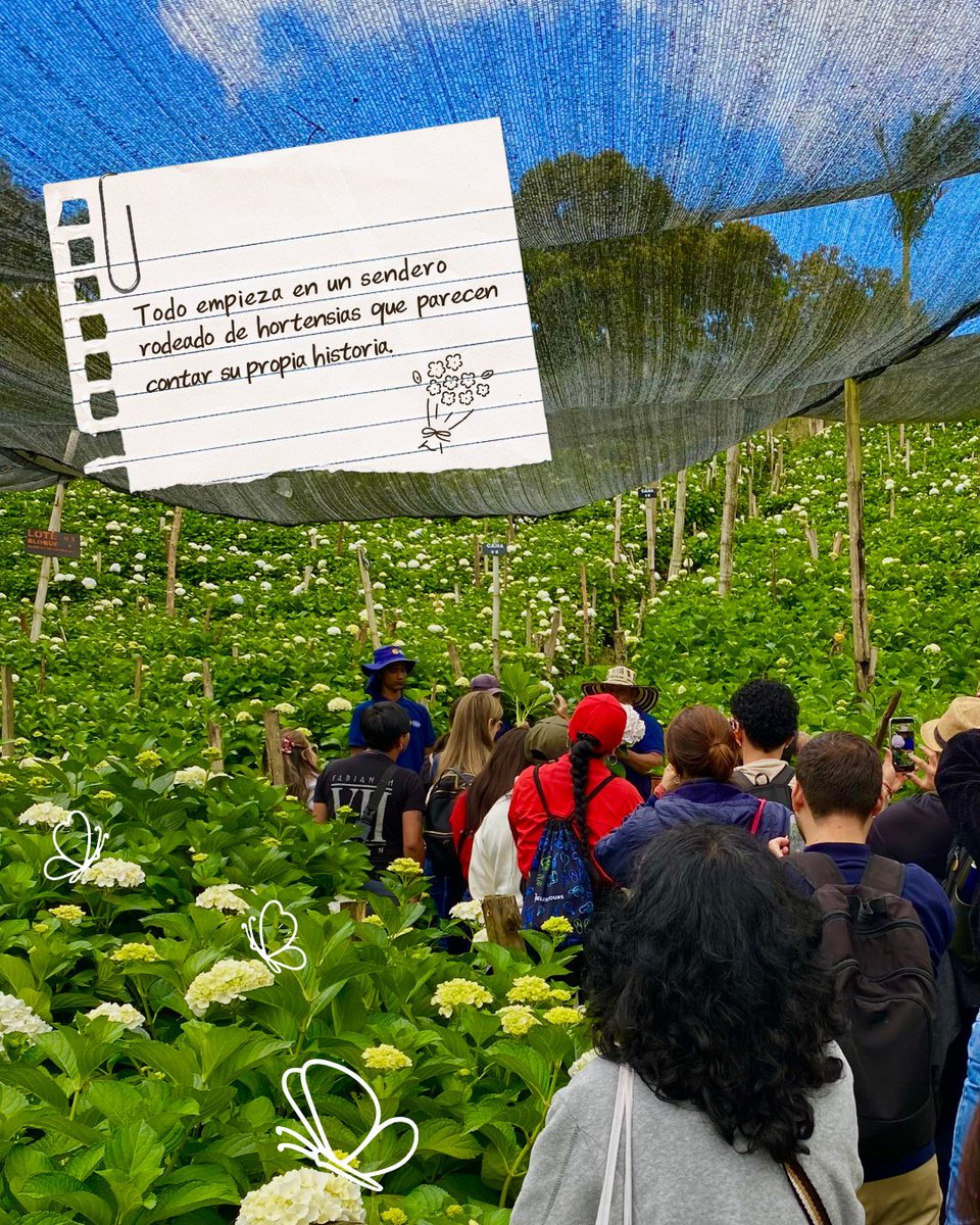 Colombia tweet media