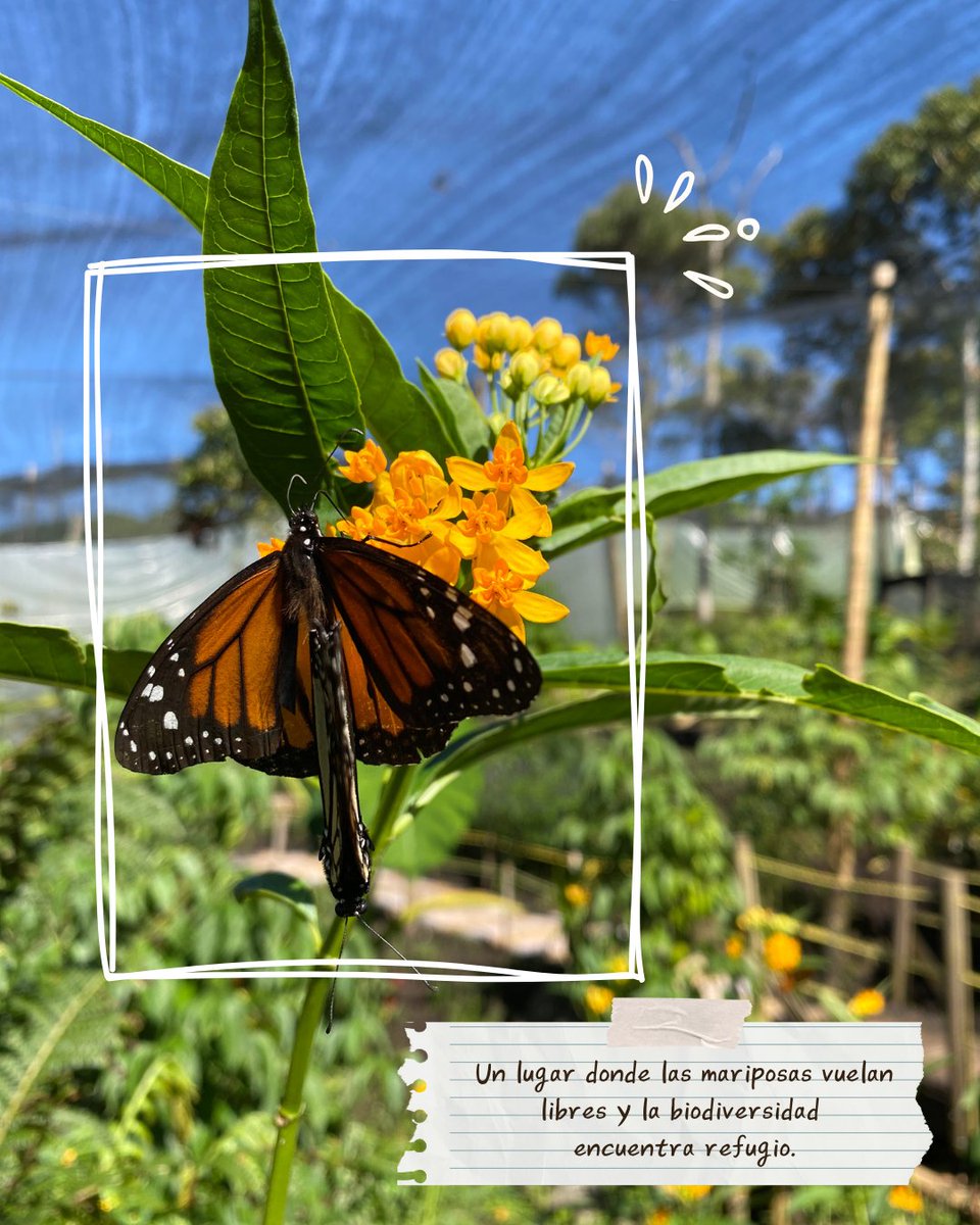 Colombia tweet media