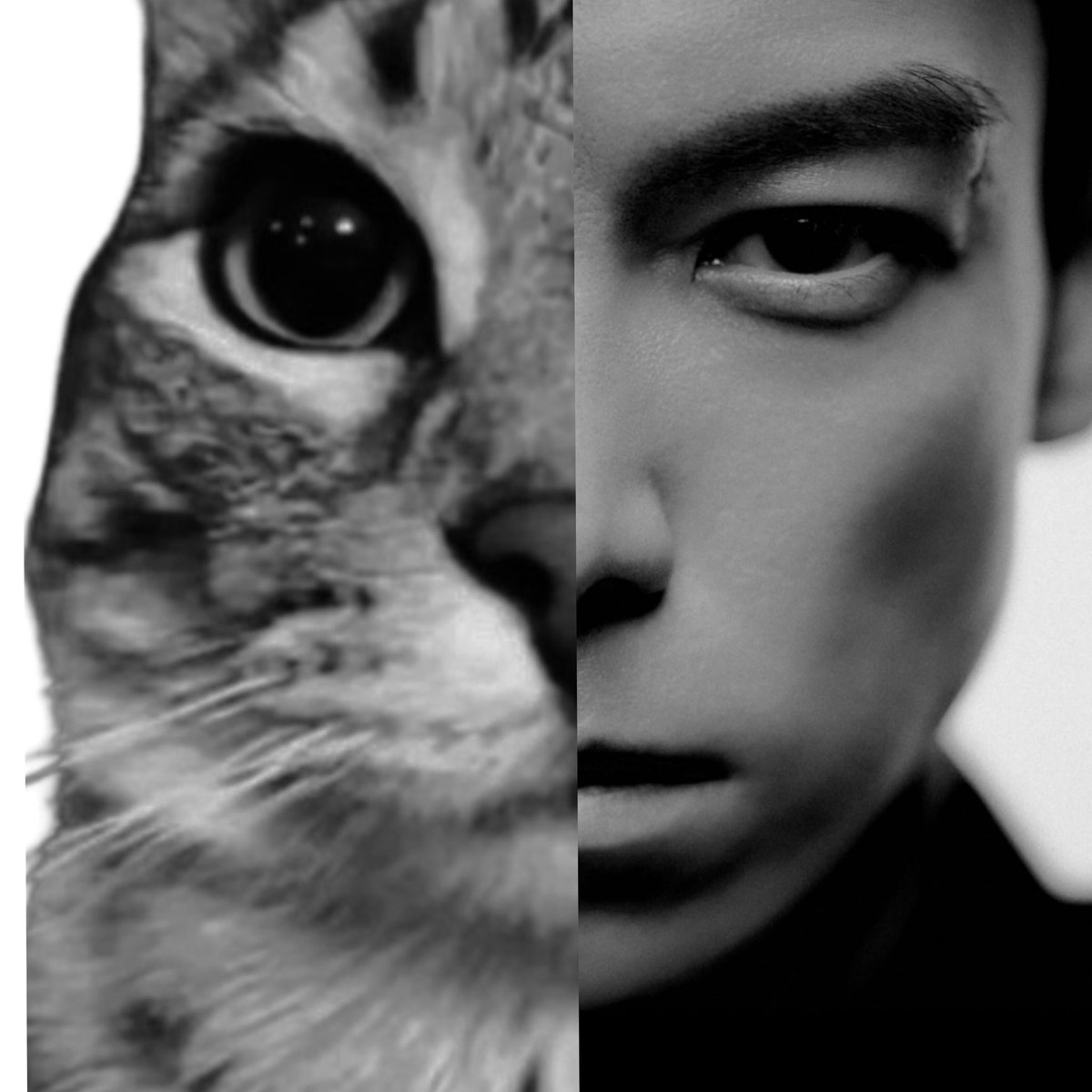 b3solid's tweet photo. T.O.P announces new album “Another Dimension” out Soon https://t.co/xEaeLdfDwD