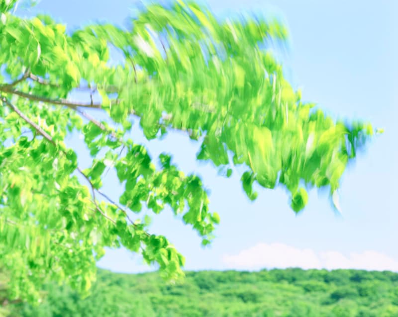 hi!おはよう！ Thu. (木).up
風の時代(Age of Air.)
一路順風(Smooth paths ahead.)/一世風靡(A sign of the times.)/威風堂々(Quietly majestic.)/花鳥風月(The poetry of nature.)/疾風迅雷(Like wind and thunder.)/順風満帆(Fair winds)/馬耳東風(Words to the wind)
have a nice day!良い一日を！