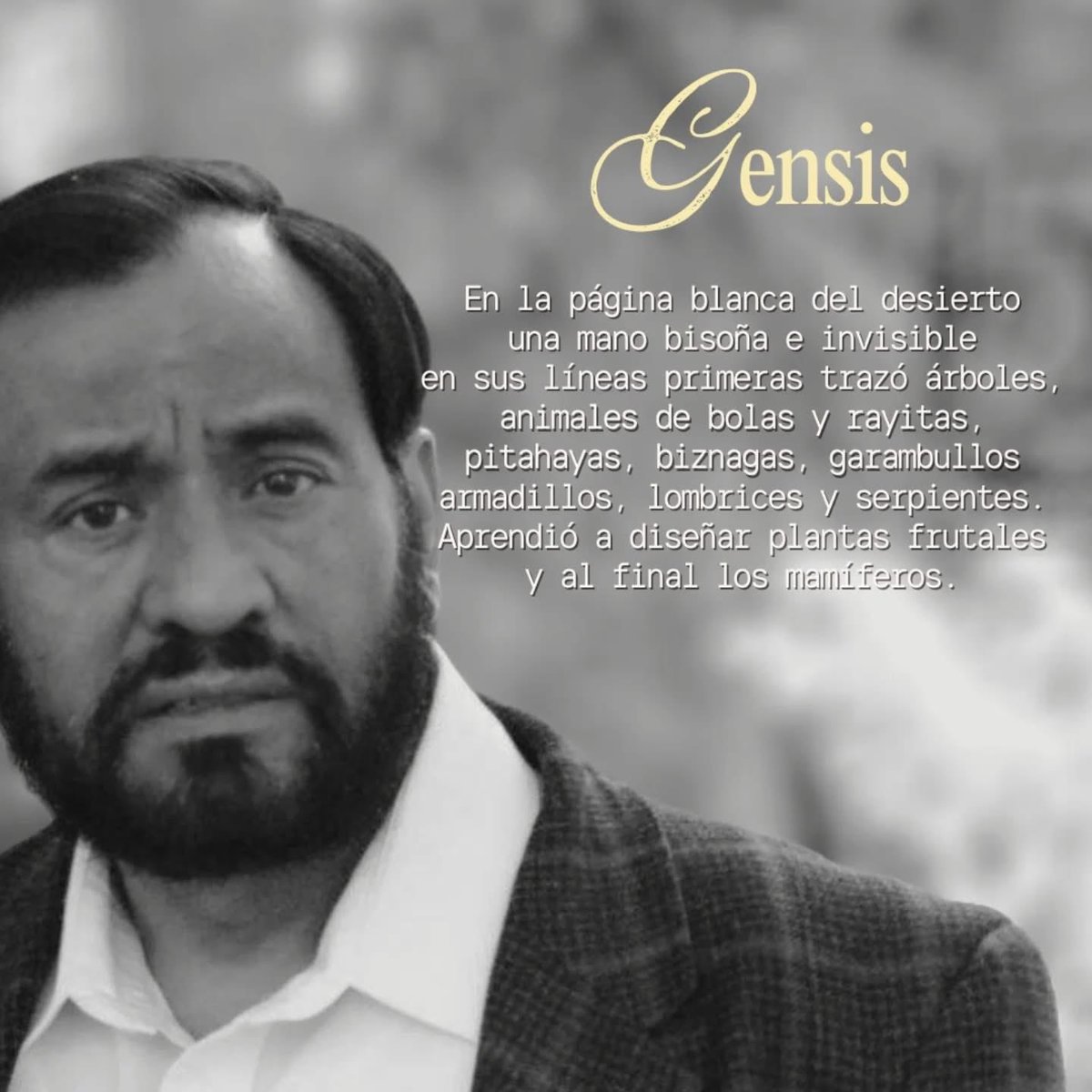 InterfazL's tweet photo. Ven a conversar con Mario Calderón sobre la metodología de la adivinación desde la poesía, no he pierdas este 6 y 7 de febrero este curso. Registro por DM o al correo librera.circulopoesia@gmail.com

C. Xicoténcatl 270, Del Carmen, Coyoacán

@circulodepoesia https://t.co/ap6NlioxJL