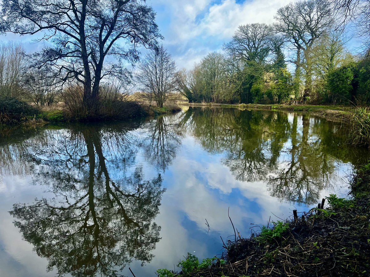 Annette parish tweet media