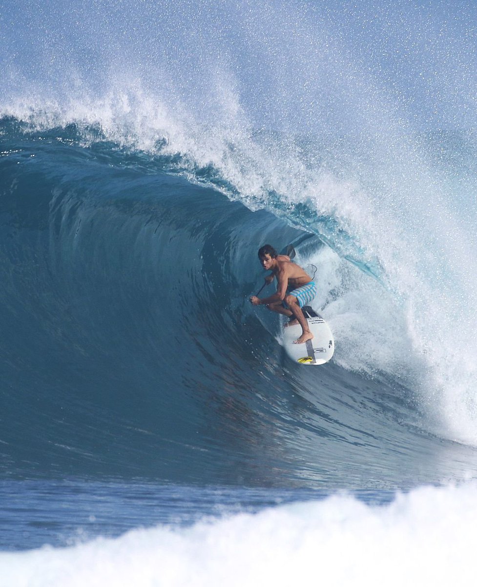 Carnivore Aurelius ©🥩 ☀️🦙 tweet media