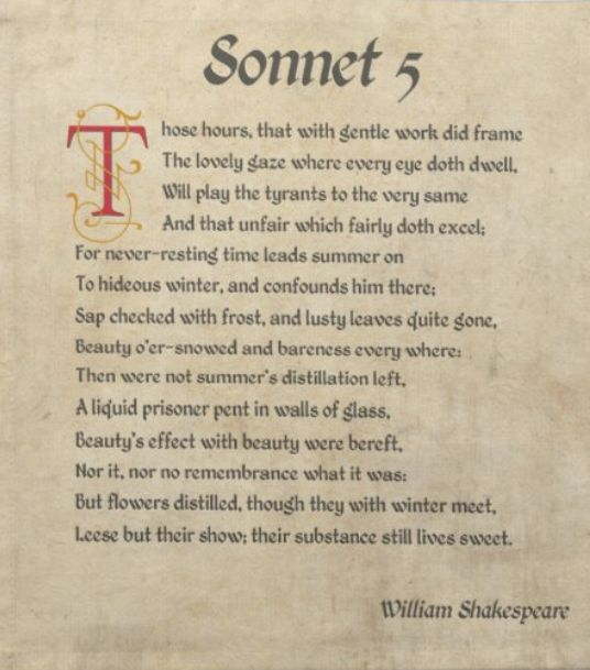 oh you're looking for sonnet 5? we have sonnet 5
