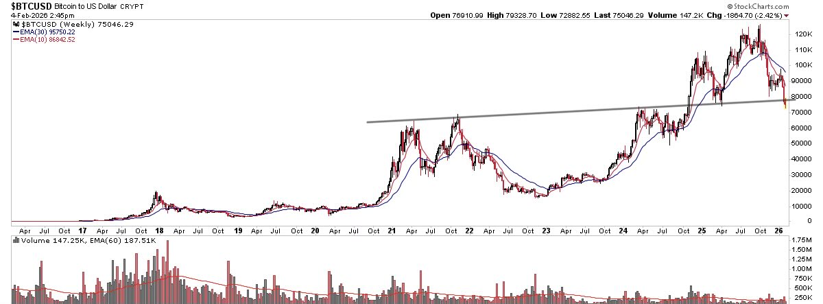 THE SHORT BEAR tweet media