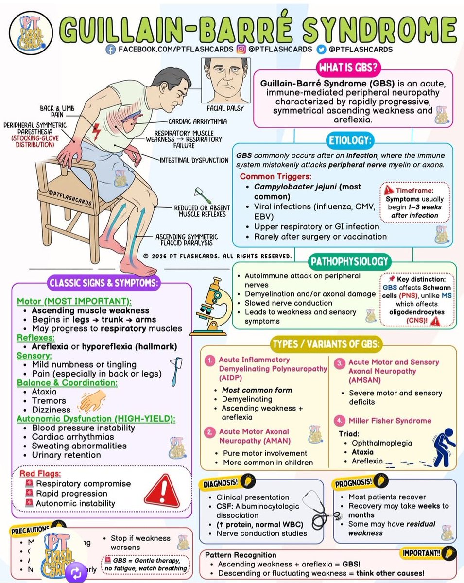 drsthanus's tweet photo. Guillain-Barré syndrome (GBS) 

https://t.co/WV4yQyoJtr https://t.co/eKObsMcYSF