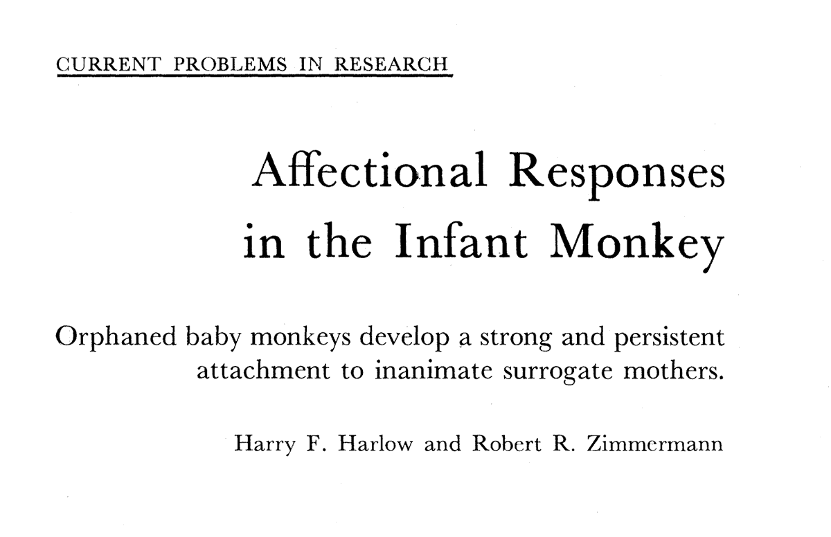 Maymun yavruları bile, süt veren tel anneyi değil; sütü olmamasına rağmen, sarılabilecekleri yumuşak bez anneyi seçer.
Sevgi, biyolojik bir "lüks" değil; temel bir ihtiyaçtır.
