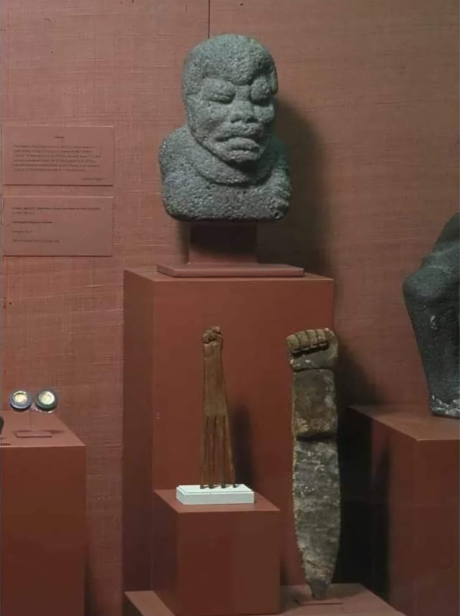 Voice of the Aboriginal 🏹 tweet media