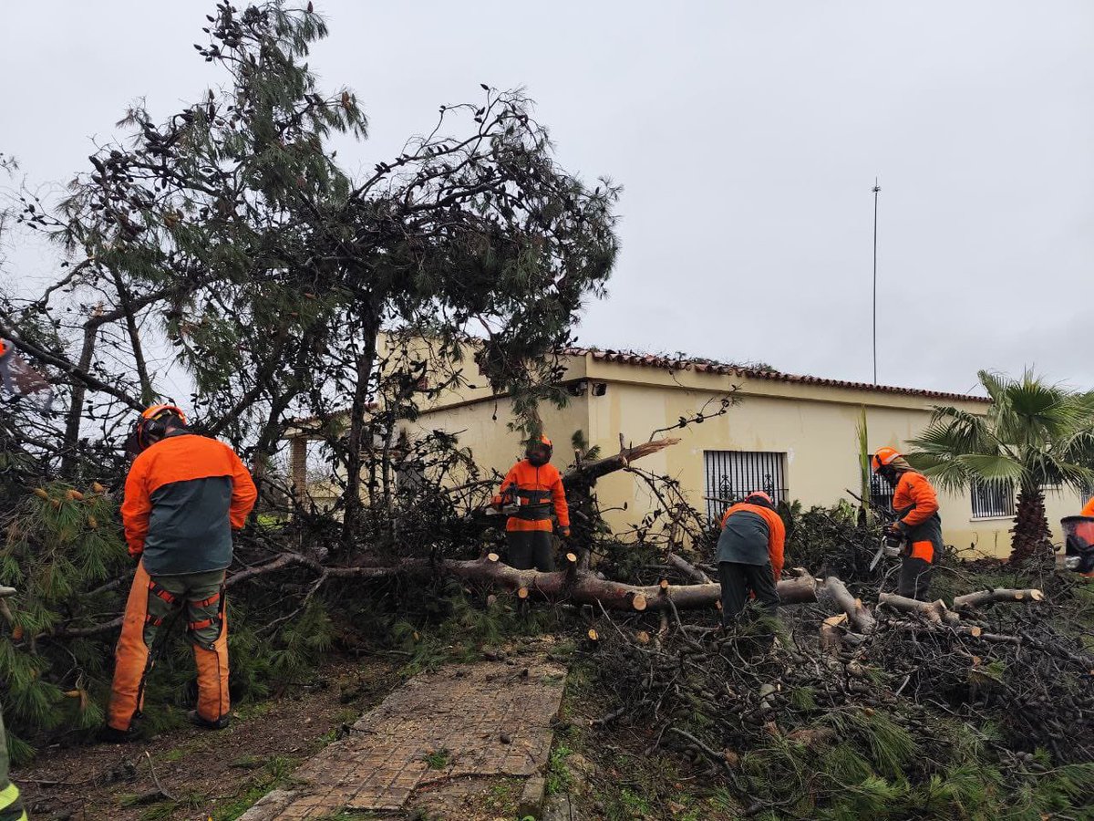 Consejería de Gestión Forestal y Mundo Rural tweet media