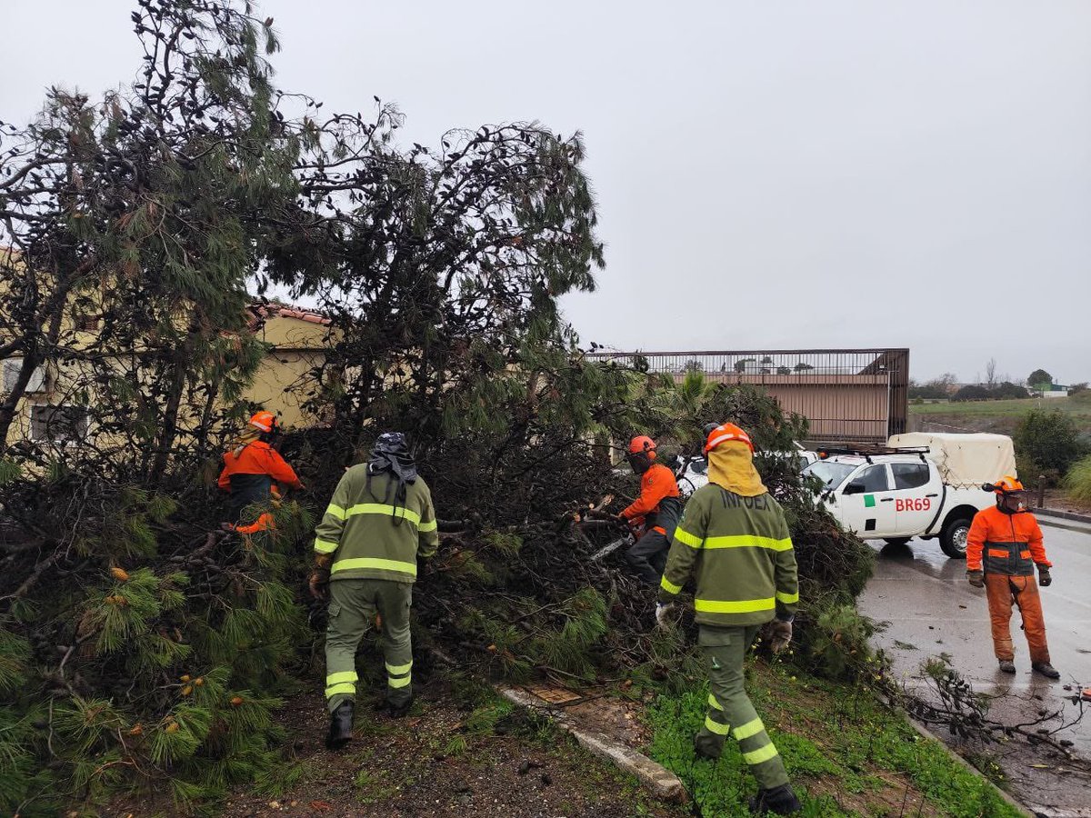 Consejería de Gestión Forestal y Mundo Rural tweet media