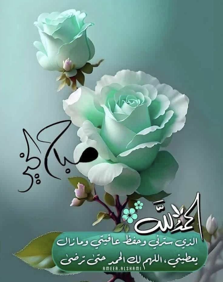 Bint Dubai 🇦🇪 tweet media