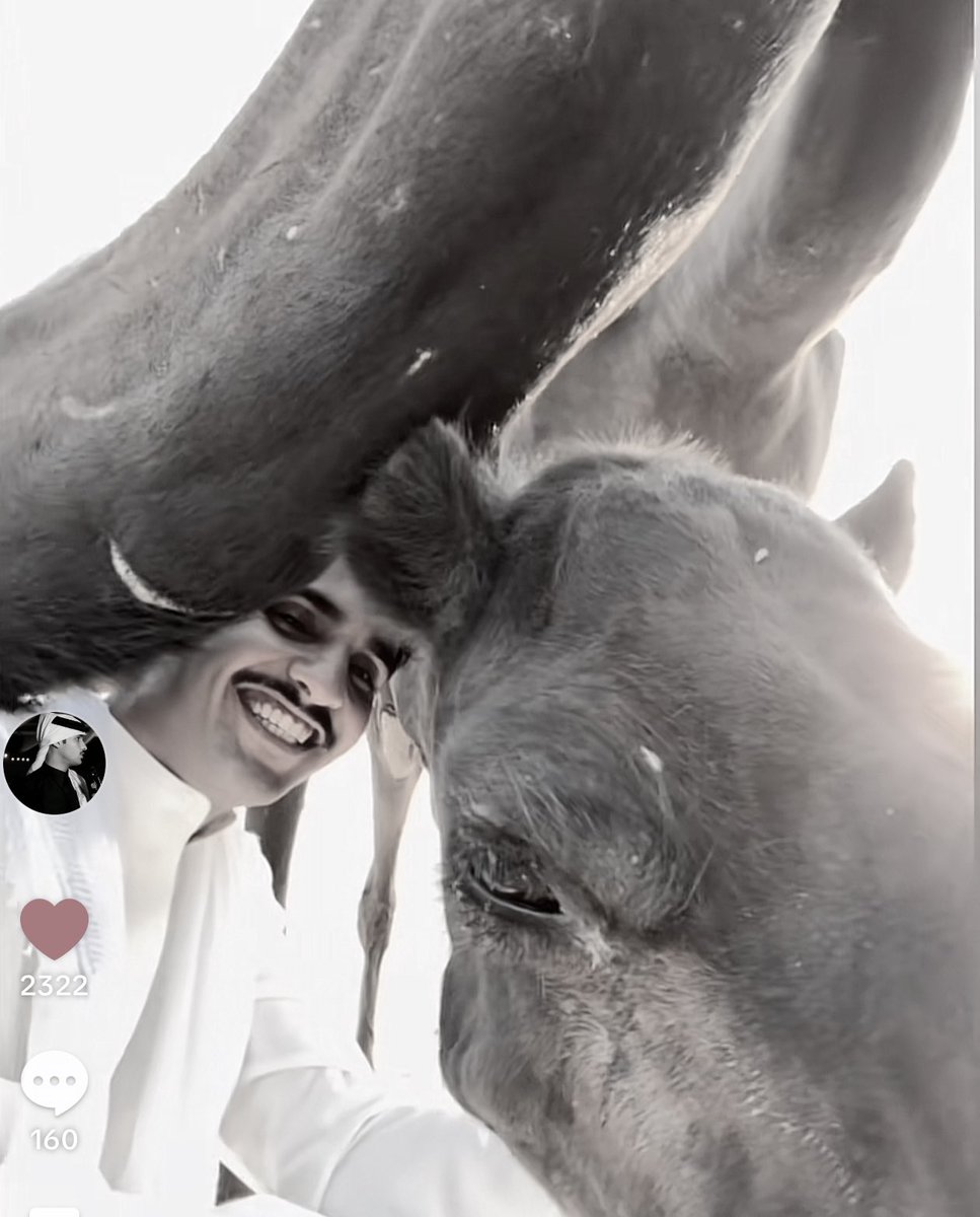xrosanpos's tweet photo. عشق البدو https://t.co/TL1dcFcJvW